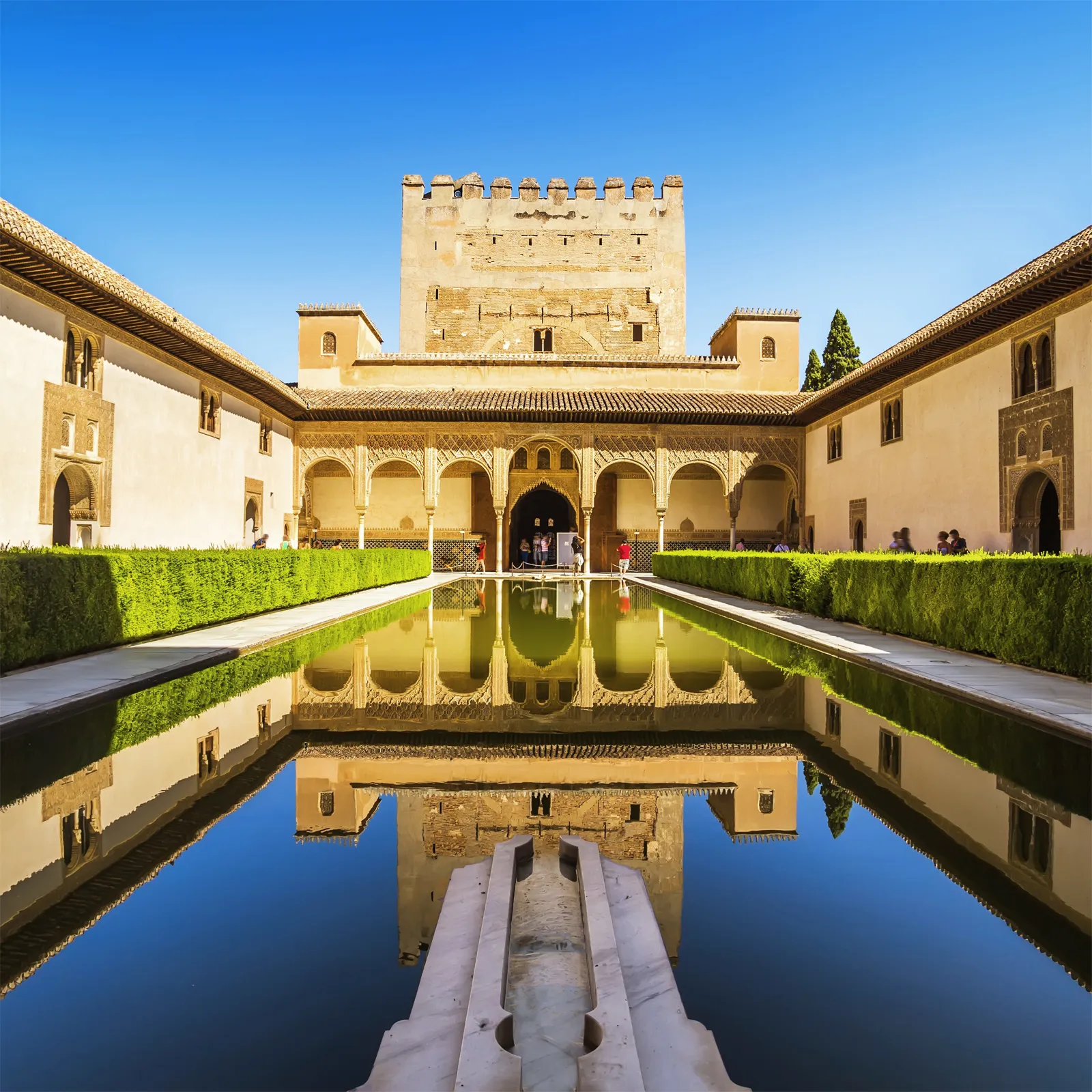 Alhambra Palace Tours & Tickets